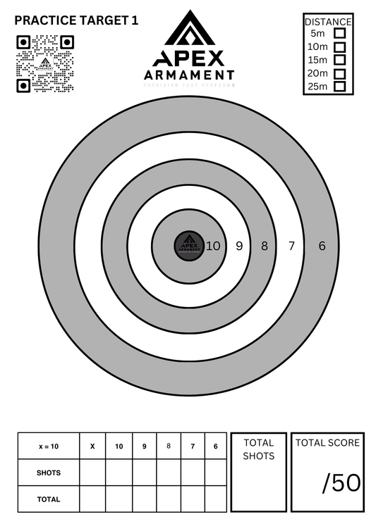 Practice Target Bullseye